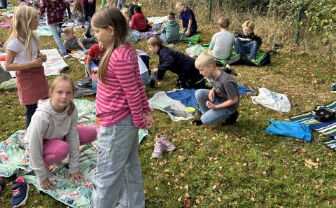 Picknick Bild 1
